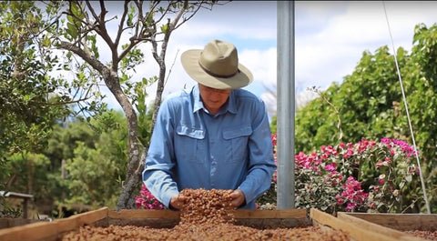 El Salvador Finca Los Naranjitos Natural