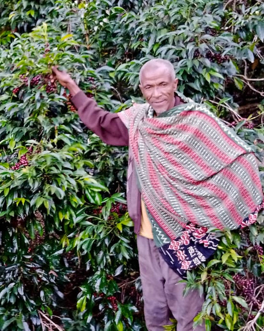 Ethiopia Mr Ocholo Bedecho Washed