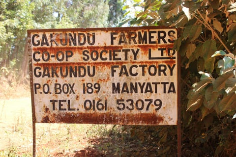 Kenya Gakundu Washed