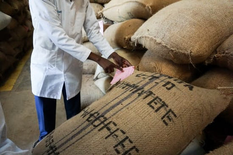 Kenya Kii Peaberry Washed