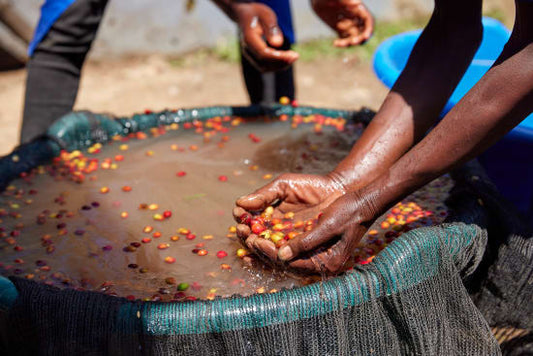 Rwanda COOPAC Kabirizi