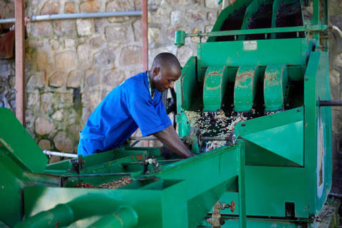 Rwanda Kigeyo Washed