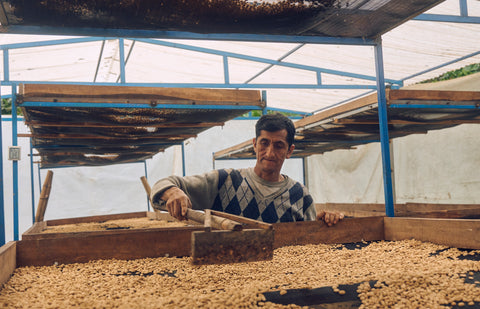 Peru Faustino Flores Geisha Washed