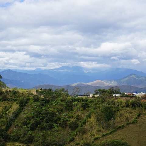 Colombia Diego Lopez Decaf